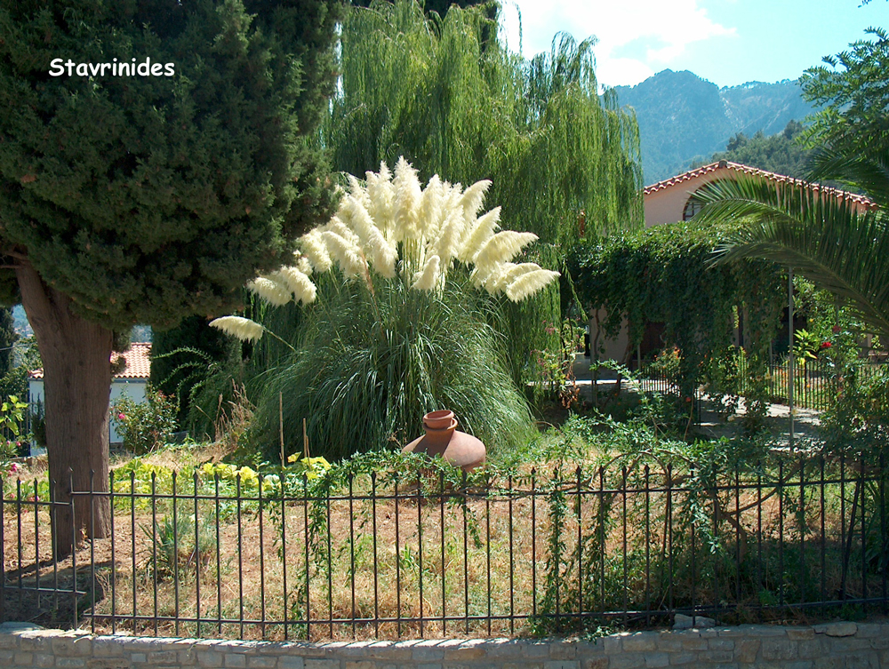 stavrinides samos greece